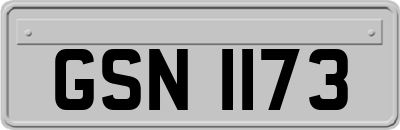 GSN1173