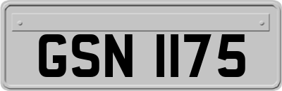 GSN1175