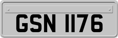 GSN1176
