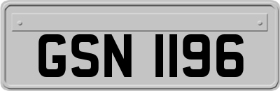GSN1196