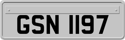 GSN1197