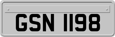 GSN1198