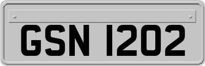 GSN1202
