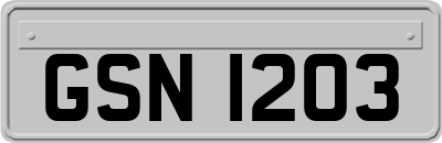 GSN1203