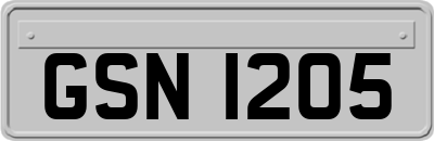 GSN1205