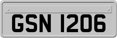 GSN1206