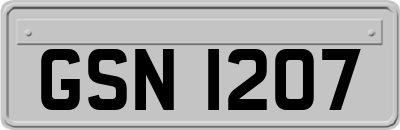 GSN1207