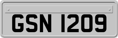 GSN1209
