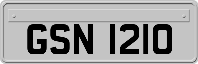 GSN1210