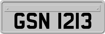 GSN1213