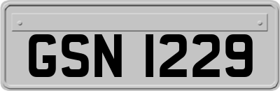 GSN1229