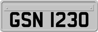 GSN1230