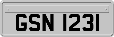 GSN1231