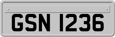 GSN1236