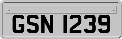 GSN1239