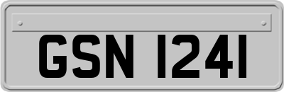 GSN1241