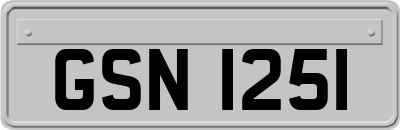 GSN1251