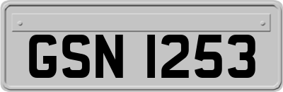 GSN1253