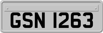 GSN1263