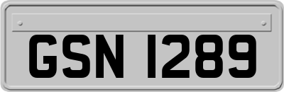 GSN1289