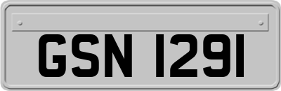 GSN1291