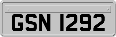GSN1292
