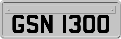 GSN1300
