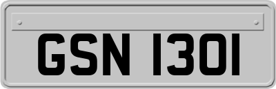GSN1301