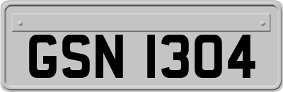 GSN1304