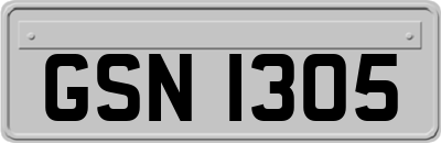 GSN1305