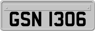 GSN1306