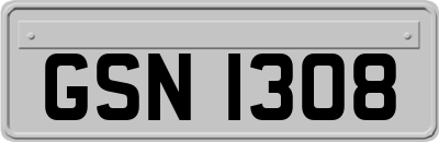 GSN1308