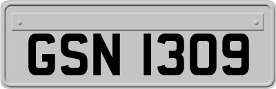 GSN1309