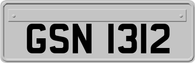 GSN1312