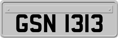 GSN1313