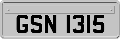 GSN1315