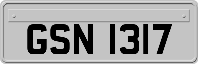 GSN1317