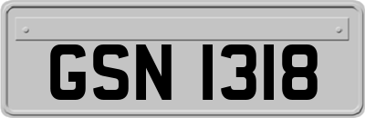 GSN1318
