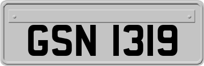 GSN1319