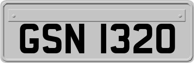 GSN1320