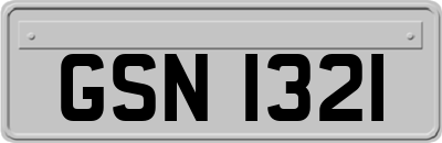 GSN1321