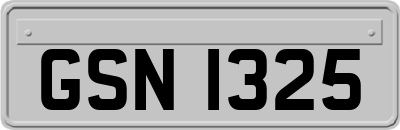 GSN1325