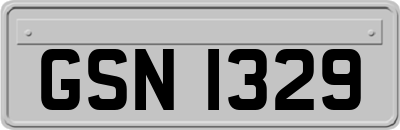 GSN1329