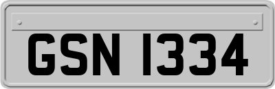 GSN1334