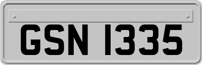 GSN1335