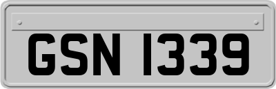GSN1339