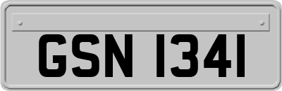 GSN1341