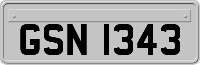 GSN1343