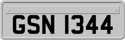 GSN1344