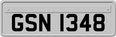 GSN1348